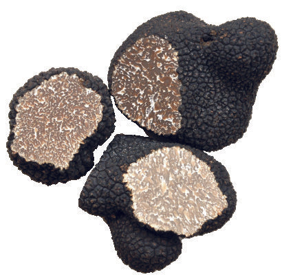 Tartufo Estivo Fresco